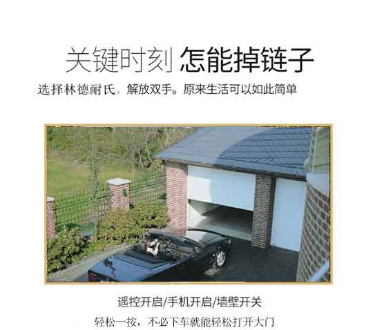 遙控電動車庫門